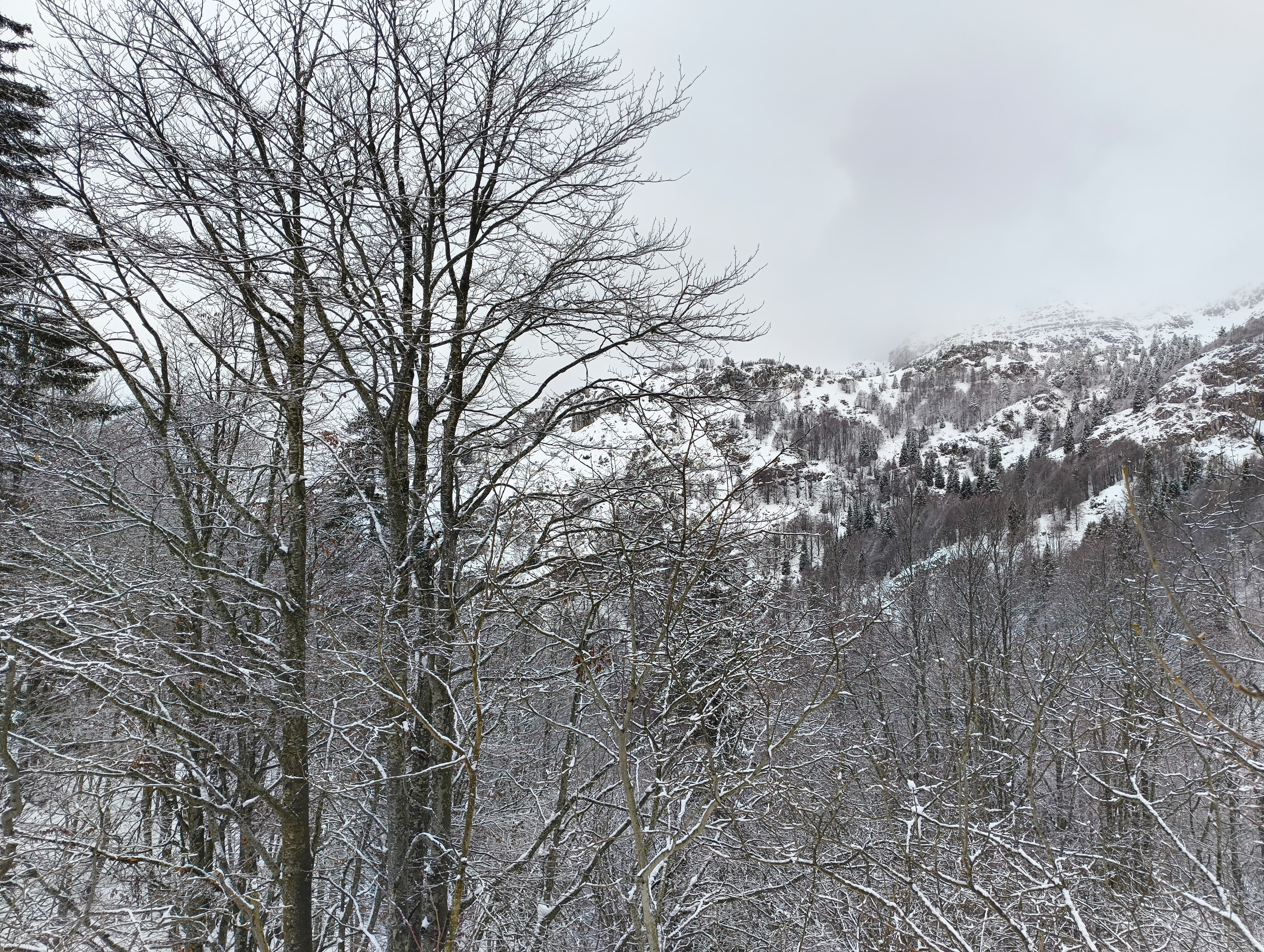 Foto n° 15 del trekking Monte Sodadura